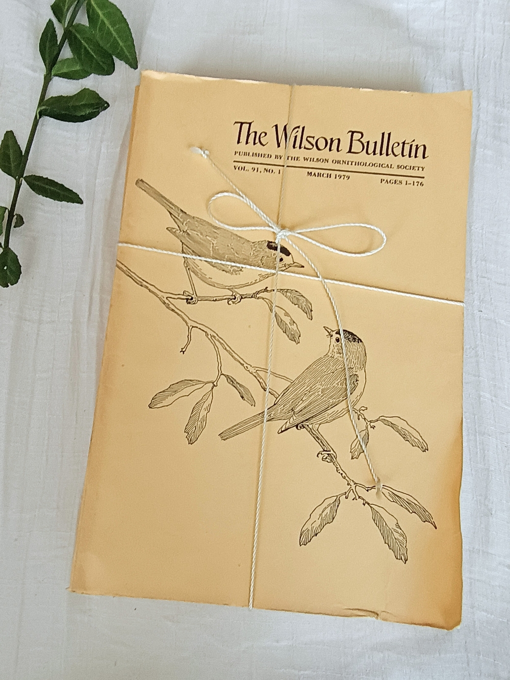 🍎 COTTAGE CORE 🍎 x 4 VTG 1979 "The Wilson Bulletin," Ornithological Pamphlets